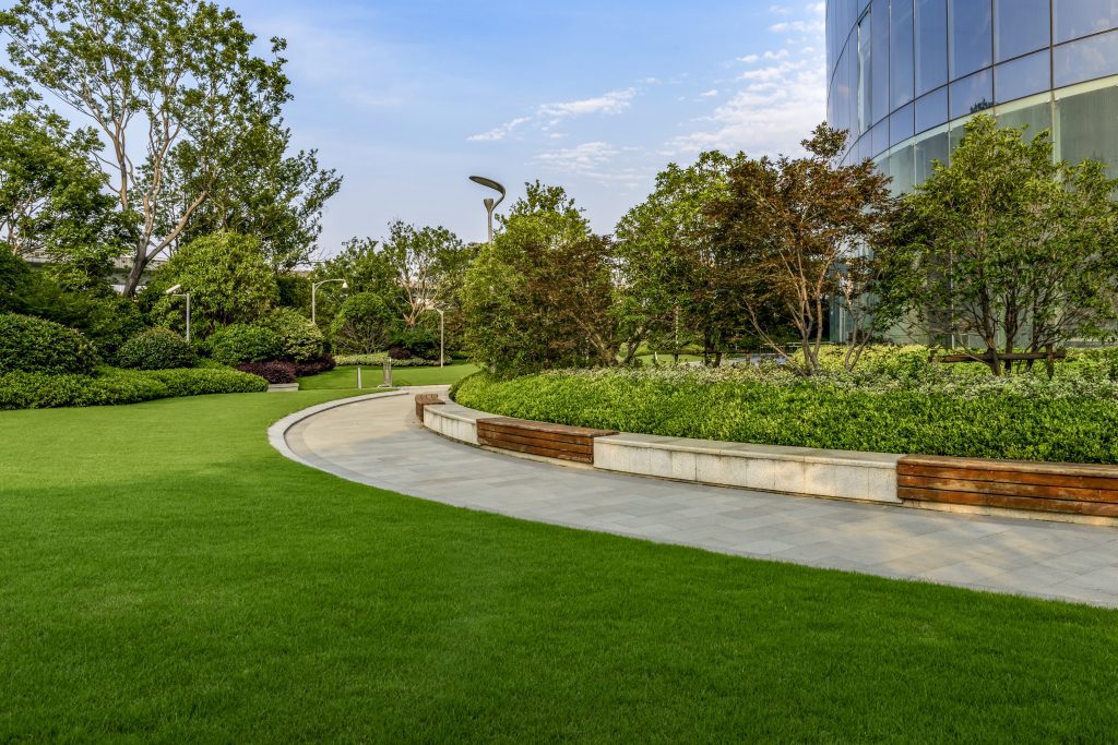 Beautiful green field beside a modern office building.