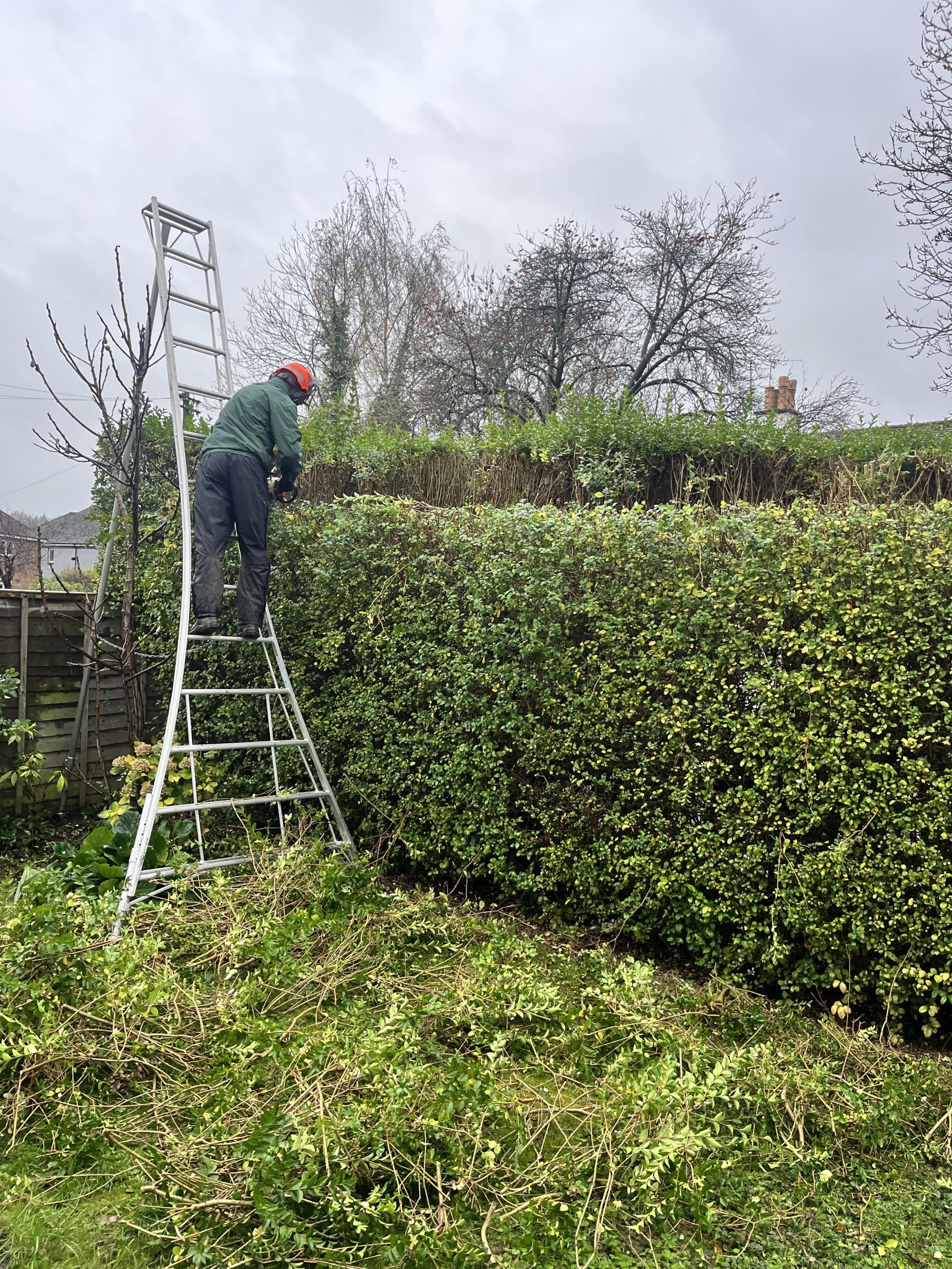 Hedge reduced in height by 2ft by Elliott & Morgan